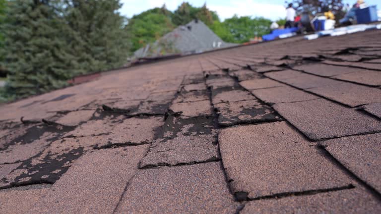 Best Storm Damage Roof Repair  in Aldan, PA